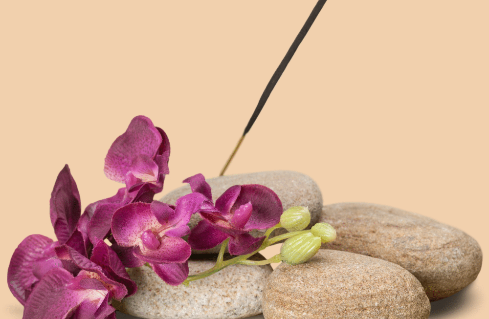 Our strategy for the brand was launched from a clear vision aimed at establishing its position as a leader in the market.