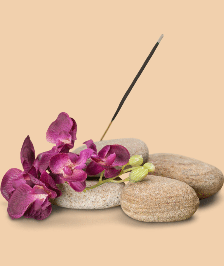 Our strategy for the brand was launched from a clear vision aimed at establishing its position as a leader in the market.